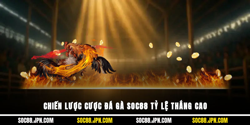 Chiến lược cược đá gà SOC88 tỷ lệ thắng cao