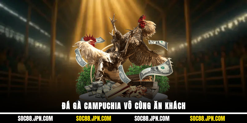 Đá gà Campuchia vô cùng ăn khách