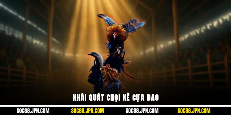 Khái quát chọi kê cựa dao