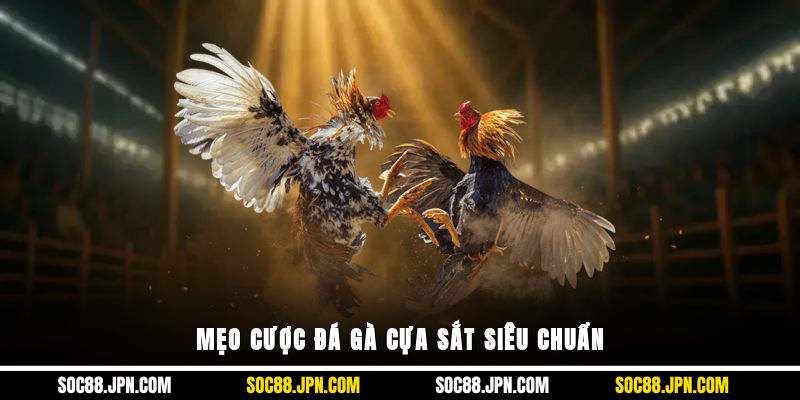 Mẹo cược đá gà cựa sắt siêu chuẩn