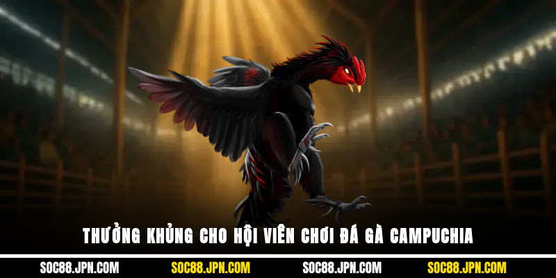 Thưởng khủng cho hội viên chơi đá gà Campuchia