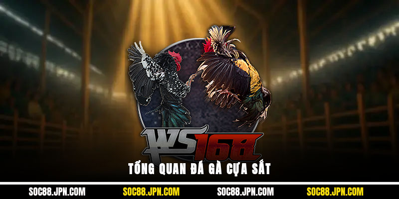 Tổng quan đá gà cựa sắt