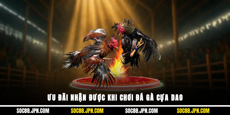 Ưu đãi nhận được khi chơi đá gà cựa dao