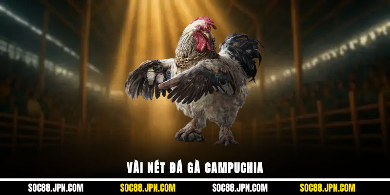 Vài nét đá gà Campuchia